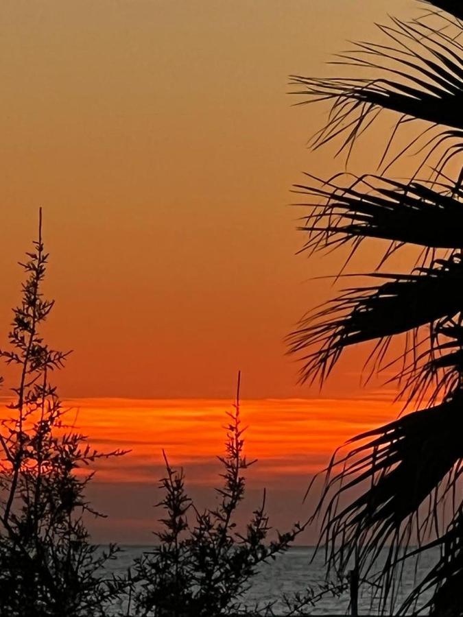 Апартаменти Rome Sea Лідо-ді-Остія Екстер'єр фото
